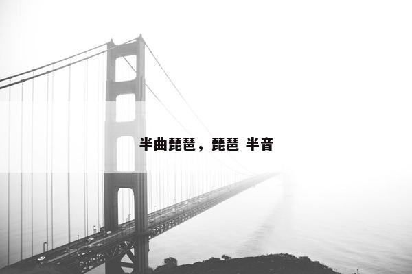 半曲琵琶，琵琶 半音