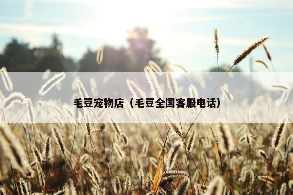 毛豆宠物店（毛豆全国客服电话）