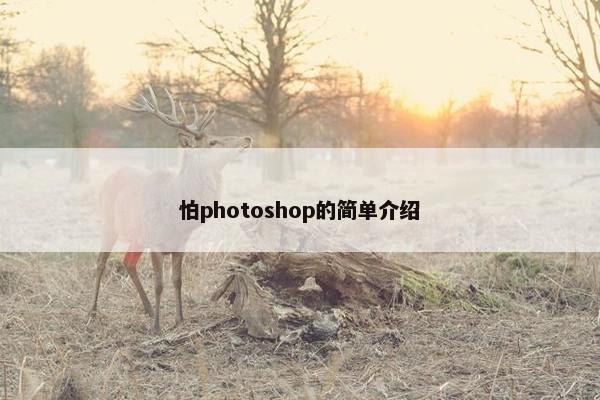 怕photoshop的简单介绍 怕photoshop的简单介绍