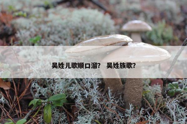 吴姓儿歌顺口溜? 吴姓族歌? 吴姓儿歌顺口溜? 吴姓族歌?