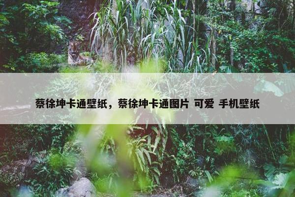 蔡徐坤卡通壁纸，蔡徐坤卡通图片 可爱 手机壁纸