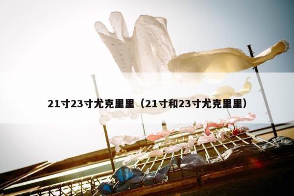 21寸23寸尤克里里（21寸和23寸尤克里里）