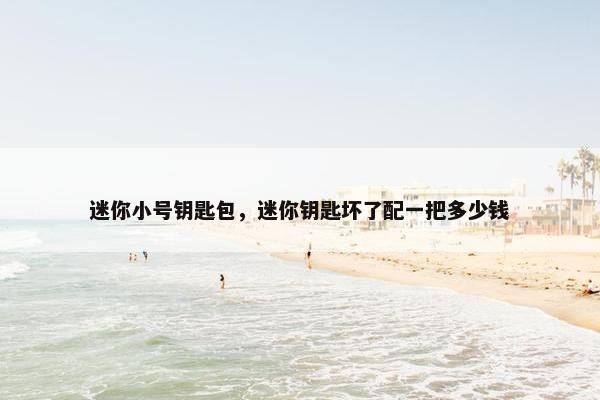 迷你小号钥匙包，迷你钥匙坏了配一把多少钱