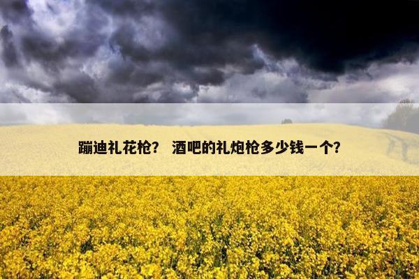 蹦迪礼花枪？ 酒吧的礼炮枪多少钱一个？