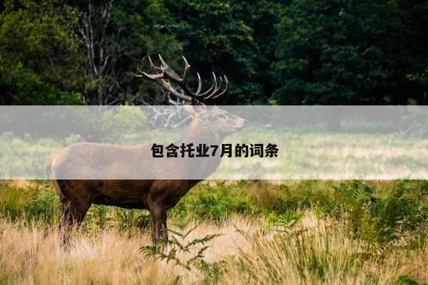 包含托业7月的词条 包含托业7月的词条