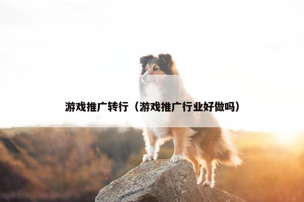 游戏推广转行(游戏推广行业好做吗) 游戏推广转行(游戏推广行业好做吗)