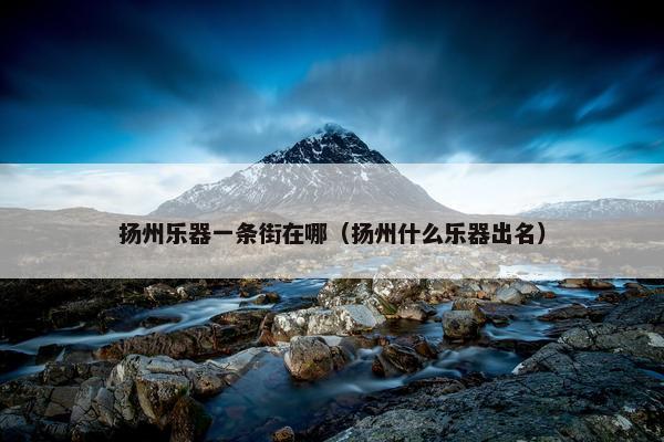 扬州乐器一条街在哪(扬州什么乐器出名) 扬州乐器一条街在哪(扬州什么乐器出名)