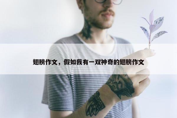 翅膀作文，假如我有一双神奇的翅膀作文
