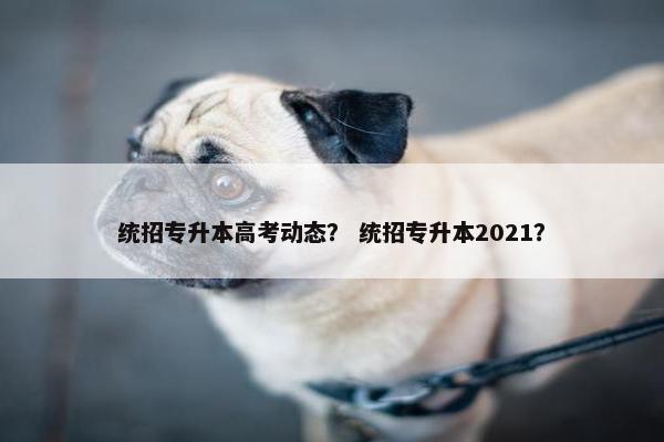 统招专升本高考动态？ 统招专升本2021？