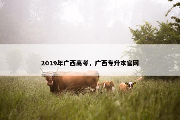 2019年广西高考，广西专升本官网