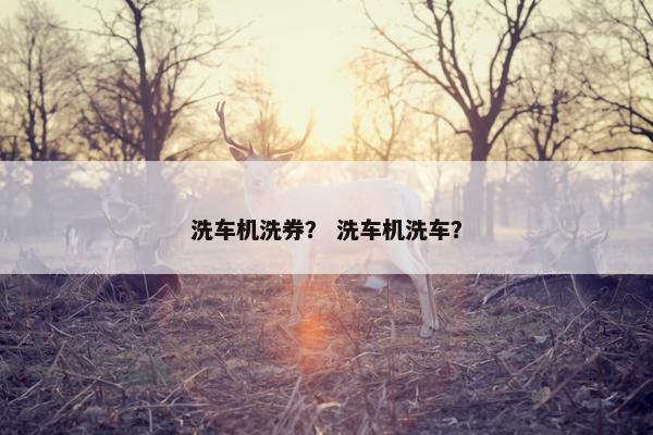洗车机洗券？ 洗车机洗车？