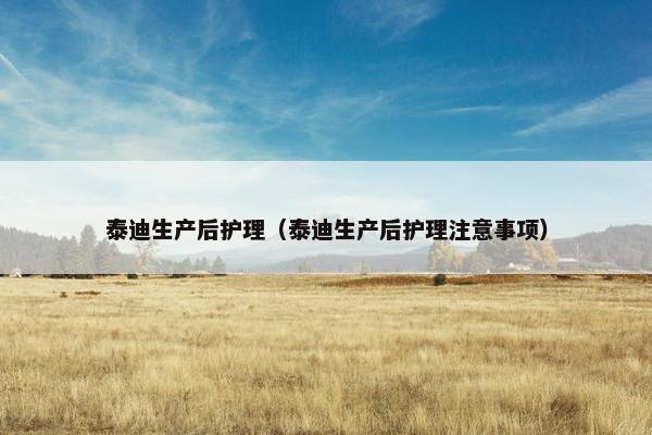 泰迪生产后护理（泰迪生产后护理注意事项）