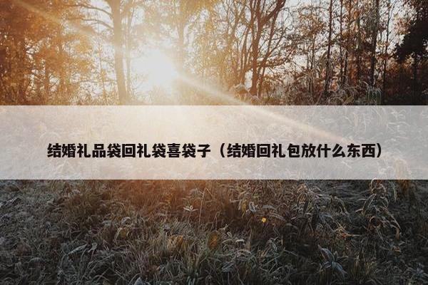 结婚礼品袋回礼袋喜袋子(结婚回礼包放什么东西) 结婚礼品袋回礼袋喜袋子(结婚回礼包放什么东西)