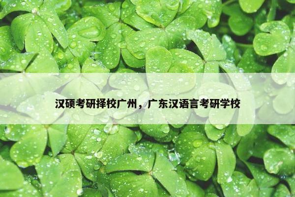 汉硕考研择校广州,广东汉语言考研学校 汉硕考研择校广州,广东汉语言考研学校