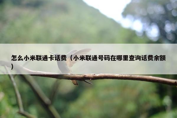 怎么小米联通卡话费(小米联通号码在哪里查询话费余额) 怎么小米联通卡话费(小米联通号码在哪里查询话费余额)