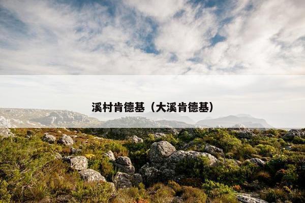 溪村肯德基(大溪肯德基) 溪村肯德基(大溪肯德基)