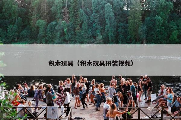 积木玩具（积木玩具拼装视频）