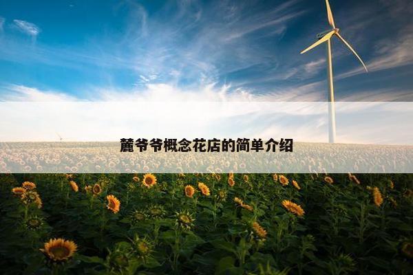 麓爷爷概念花店的简单介绍