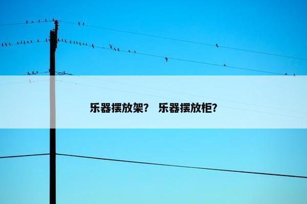 乐器摆放架？ 乐器摆放柜？