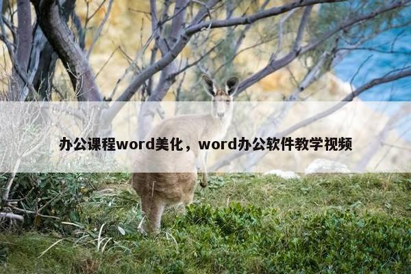 办公课程word美化,word办公软件教学视频 办公课程word美化,word办公软件教学视频