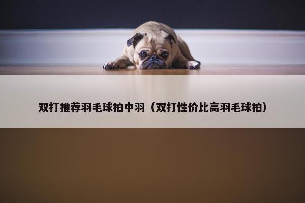 双打推荐羽毛球拍中羽（双打性价比高羽毛球拍）