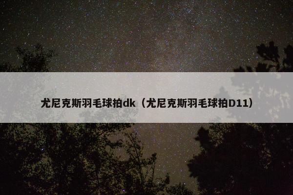 尤尼克斯羽毛球拍dk(尤尼克斯羽毛球拍D11) 尤尼克斯羽毛球拍dk(尤尼克斯羽毛球拍D11)