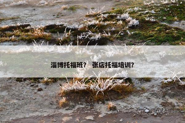 淄博托福班？ 张店托福培训？