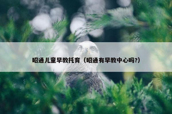 昭通儿童早教托育(昭通有早教中心吗?) 昭通儿童早教托育(昭通有早教中心吗?)