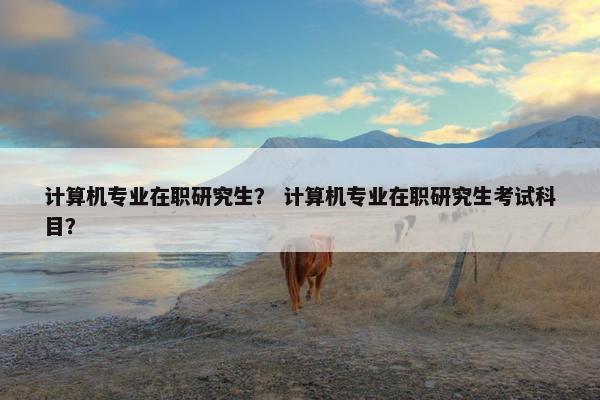 计算机专业在职研究生? 计算机专业在职研究生考试科目? 计算机专业在职研究生? 计算机专业在职研究生考试科目?