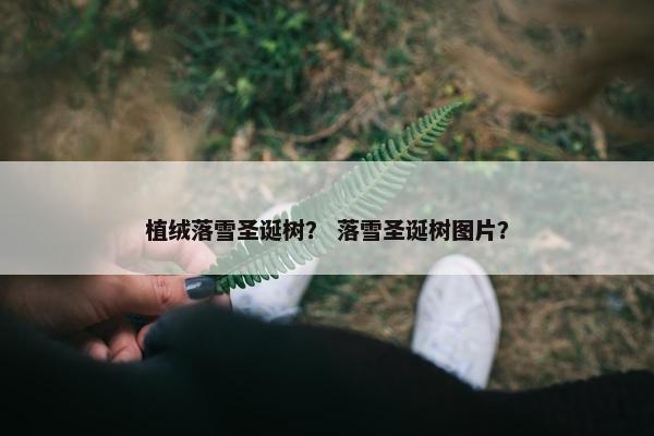 植绒落雪圣诞树？ 落雪圣诞树图片？