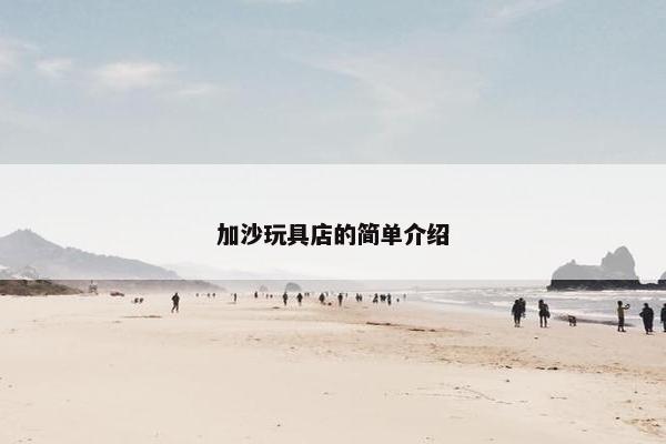 加沙玩具店的简单介绍