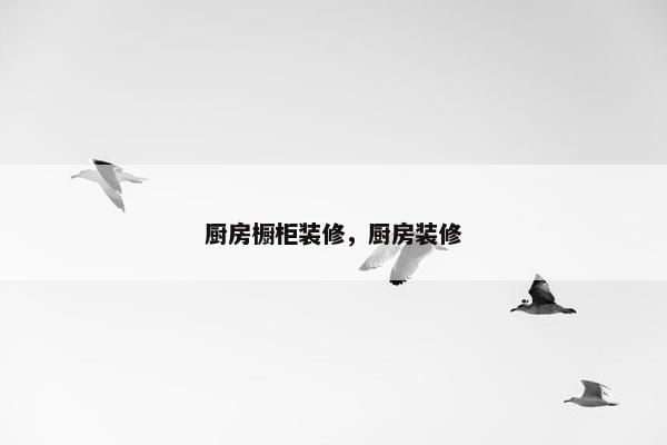 厨房橱柜装修,厨房装修 厨房橱柜装修,厨房装修