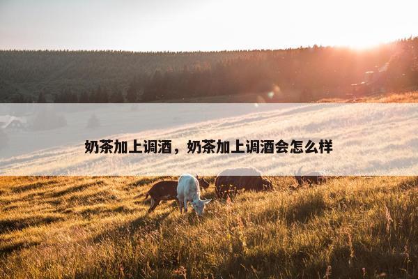 奶茶加上调酒，奶茶加上调酒会怎么样