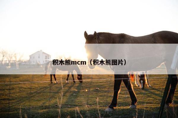 积木熊mcm（积木熊图片）