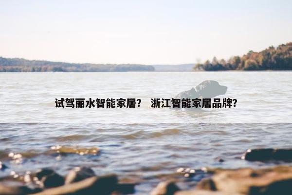 试驾丽水智能家居？ 浙江智能家居品牌？