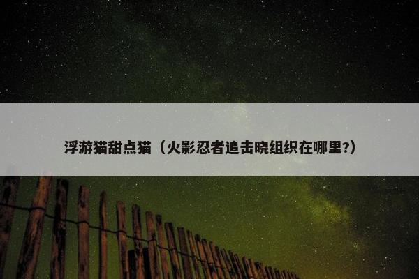 浮游猫甜点猫（火影忍者追击晓组织在哪里?）