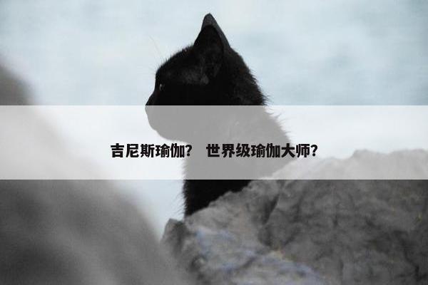 吉尼斯瑜伽？ 世界级瑜伽大师？