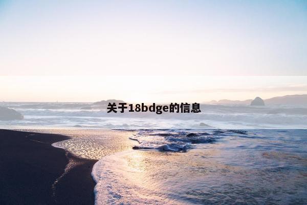 关于18bdge的信息