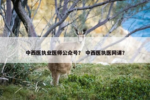 中西医执业医师公众号？ 中西医执医网课？