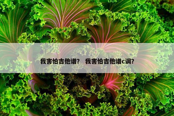 我害怕吉他谱? 我害怕吉他谱c调? 我害怕吉他谱? 我害怕吉他谱c调?