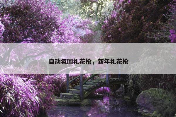 自动氛围礼花枪,新年礼花枪 自动氛围礼花枪,新年礼花枪