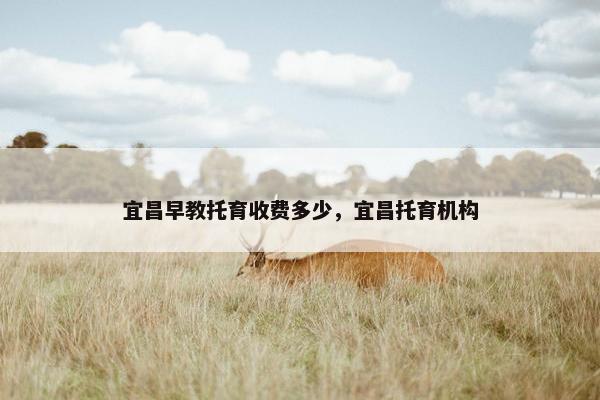 宜昌早教托育收费多少，宜昌托育机构