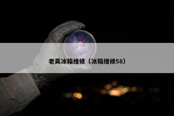 老吴冰箱维修(冰箱维修58) 老吴冰箱维修(冰箱维修58)