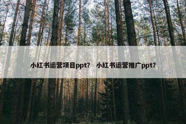小红书运营项目ppt？ 小红书运营推广ppt？