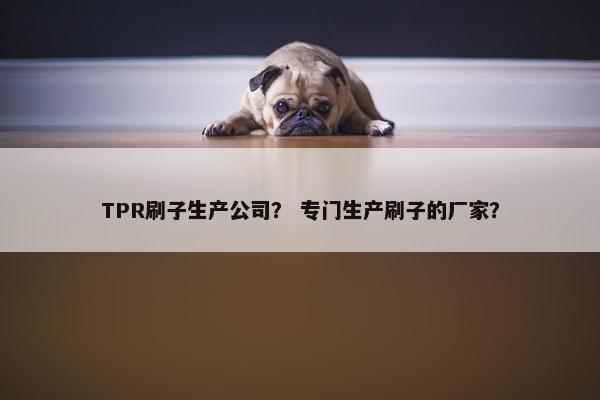 TPR刷子生产公司？ 专门生产刷子的厂家？