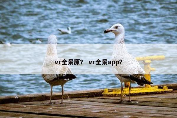 vr全景原？ vr全景app？