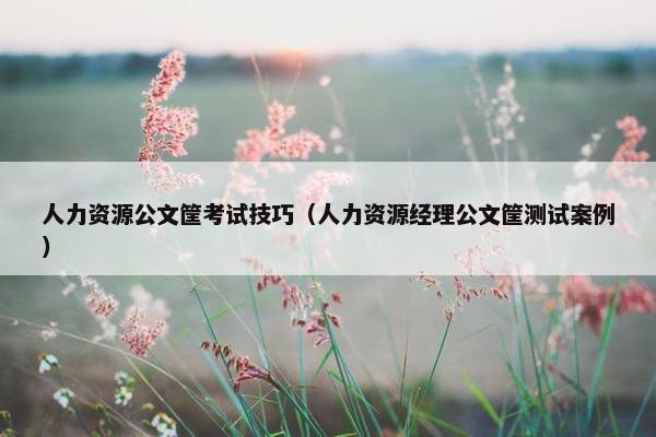 人力资源公文筐考试技巧（人力资源经理公文筐测试案例）
