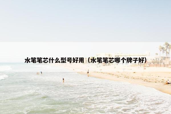 水笔笔芯什么型号好用（水笔笔芯哪个牌子好）