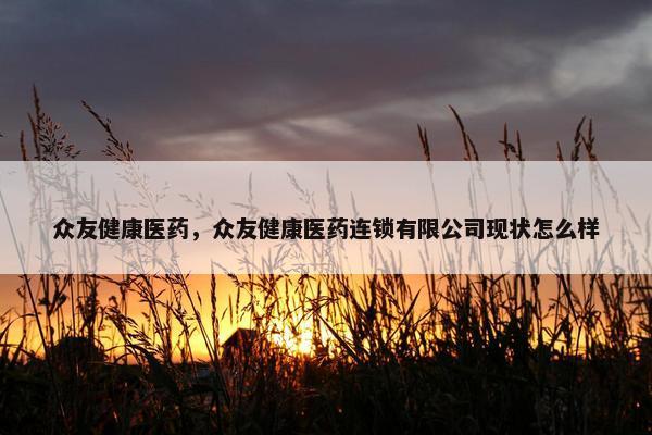 众友健康医药，众友健康医药连锁有限公司现状怎么样