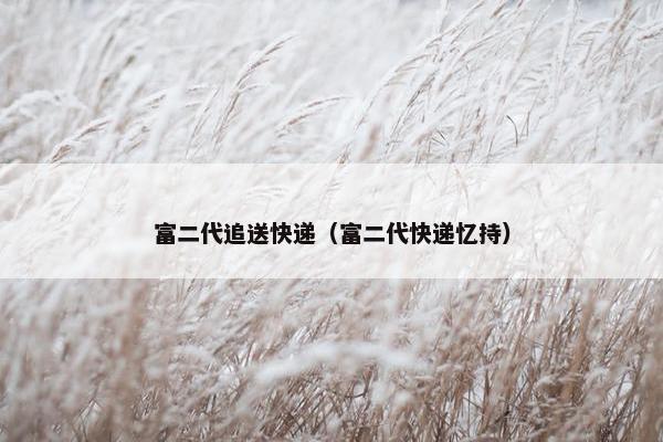 富二代追送快递（富二代快递忆持）